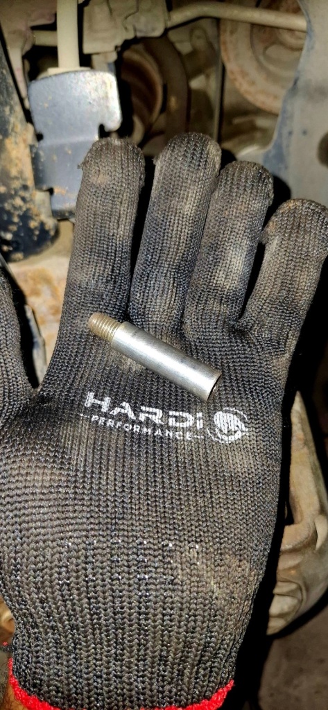 BARMALEII-RUS34_7.jpg