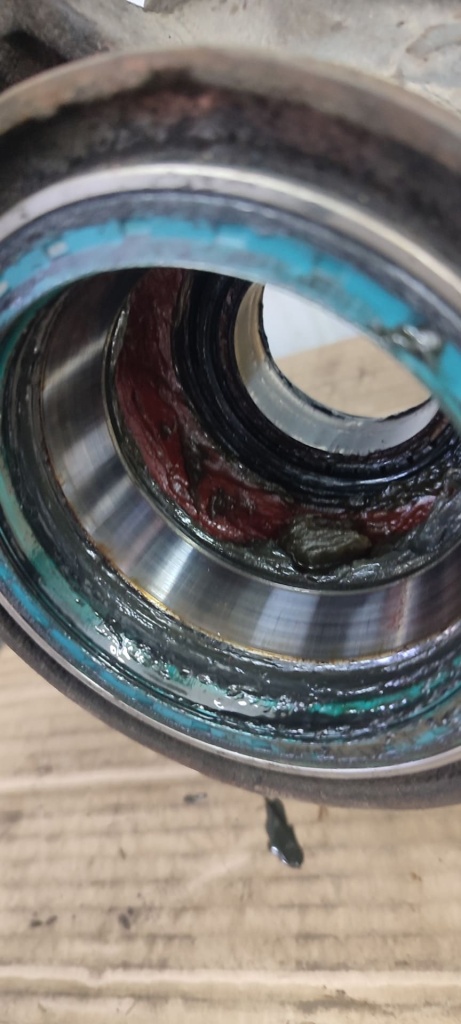 VovchA-38_25.jpg