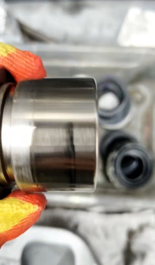 Doroff89_7.jpg