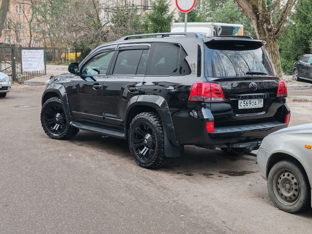 Black-shrek_1.jpg