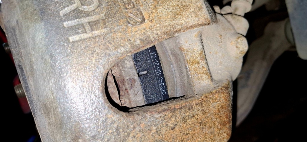 BARMALEII-RUS34_17.jpg