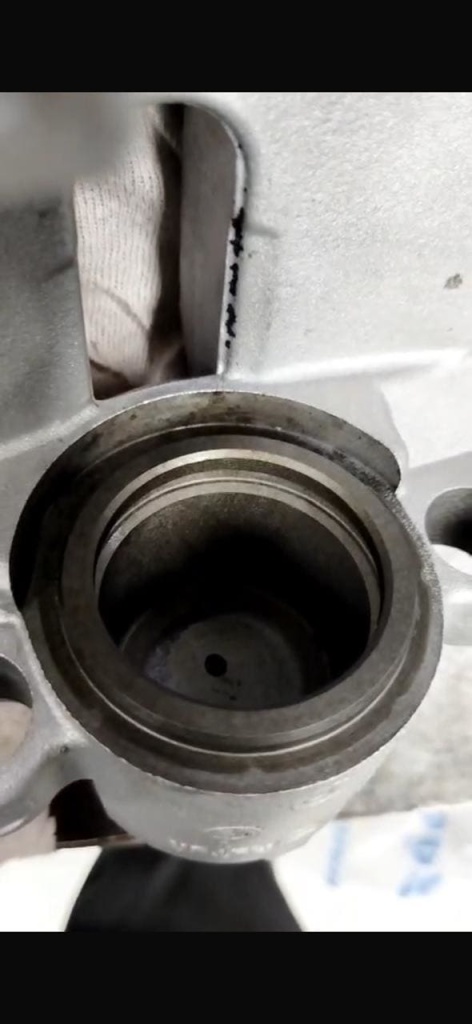 Doroff89_19.jpg